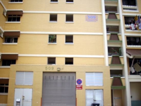Blk 509 Choa Chu Kang Street 51 (Choa Chu Kang), HDB 5 Rooms #68712